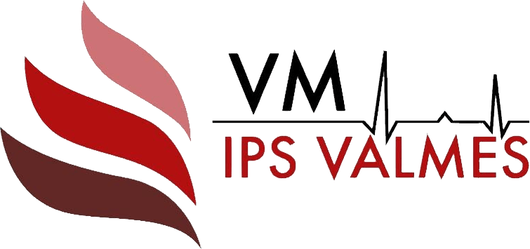 Logo IPS Valmes